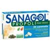 NAMED SRL Sanagol Propoli Pino Mugo 24 Caramelle