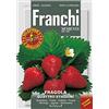 Franchi Sementi SEMI FRAGOLA 4 STAGIONI FRANCHI SEMENTI