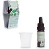 Amon&Anis Collutorio concentrato menta, tea tree e mirra - bio - 10ml