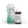 Biologische Heilm. Heel Selenium Homaccord*Orale Gtt 1 Flacone Da 30 Ml Gocce