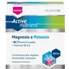 Naturwaren Italia Srl Dr.Theiss Active Nutrient Magnesio e Potassio 20 pz Bustina