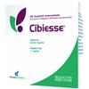 Pharmextracta SpA Cibiesse 20 Bustine Monodose Con Edulcorante 120 g