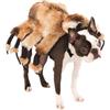 Rubie's Costume da ragno gigante per cani, per Halloween