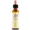 Schwabe Pharma Italia Olive Bach Orig 20 Ml ml Gocce orali