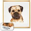 Trimits Kit Punto Croce Personalizzato Grandi per Adulti Principianti, Decorazione da Parete per Amanti degli Animali, Proprietari di Cani, 11 Pezzi, 36 x 36 cm, Border Terrier, Cornice Non Inclusa