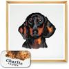 Trimits Kit Punto Croce Personalizzato Grande per Adulti Principianti, Decorazione da Parete per Amanti degli Animali, Proprietari di Cani, 11 Pezzi, 36x36 cm, Bassotto, Cornice Non Inclusa