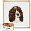 Trimits Kit punto croce personalizzato grande per adulti principianti, decorazione da parete per amanti degli animali, proprietari di cani, 11 pezzi, 36x36 cm, Springer Spaniel, cornice non inclusa