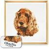 Trimits Kit Punto Croce Personalizzato Grandi per Adulti Principianti, Decorazione da Parete per Amanti degli Animali, Proprietari di Cani, 11 Pezzi, 36 x 36 cm, Cocker Spaniel, Cornice Non Inclusa