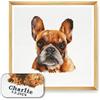 Trimits Kit Punto Croce Personalizzato Grande per Adulti Principianti, Decorazione da Parete per Amanti degli Animali, Proprietari di Cani, 11 Pezzi, 36 x 36 cm, Bulldog Francese, Cornice Non Inclusa