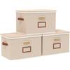 OUTBROS Scatole portaoggetti con coperchio, Cesto per scaffali, Cesti pieghevoli a cubo, contenitori in tessuto pieghevole, 45 x 30 x 30 cm, Beige, 3 Pezzi