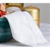 ESSE HOME - Tovaglia: Rettangolare - Quadrata -Rotonda -Ovale. Fiandra Jacquard Puro Cotone - ASSISI (S ovale 180x220, BIANCO)