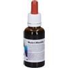 Nutri Mentis 4 30Ml 30 ml Soluzione orale