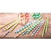 LEONE Cannucce in carta imbustate cm 21x6mm 250 pezzi