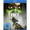 Disney Prey BD