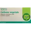 Teva Carbone Vegetale 40 compresse