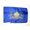 AZ FLAG Bandiera Pennsylvania 45x30 cm - Bandierina Stato Americano - Usa - Stati Uniti 30x45 cm Cordicelle