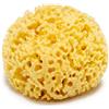 Longivia Spugna Di Mare 100% Naturale Grande 12-13cm Kalyspongea® dalla Grecia Alta Qualità Grass Forte e Resistente Esfoliante Da Bagno Per Doccia Corpo Vegetale Marina Confezione Per Idea Regalo