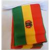 AZ FLAG Ghirlanda 6 Metri 20 Bandiere Bolivia 21x15cm - Bandiera BOLIVIANA 15 x 21 cm - Festone BANDIERINE