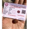 2 Pezzi X LAB CERTIFICATE 6 Mukhi RUDRAKSHA Chah mukhi Rudraksh Iskon Lab