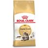 Royal Canin Breed Royal Canin Gatto Maine Coon 31 Adult 4 kg