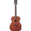 Tammany ls Chitarra acustica amplificata d'Angelico premier Tammany LS natural mogano