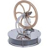 Fictory Motore Stirling a Bassa Temperatura, Regalo educativo del Modello di Calore del Vapore, del motore Stirling a bassa temperatura per l'ornamento artigianale Model Engine Kits