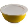 Omada Design Contenitore per Alimenti Grande con Coperchio da 6,5 Lt, Antibatterica, Leggera, Infrangibile, lavabile in Lavastoviglie, Linea Sanaliving