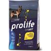 Prolife cane smart adult pollo & riso medium large 12 kg