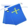 AZ FLAG Ghirlanda 6 Metri 20 Bandiere Asturie 21x15cm, Bandiera Principado De Asturias In Spagna 15 x 21 cm - Festone Bandierine