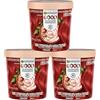 Garnier Good Tinta Colorazione Permanente Fino a 8 Settimane Colore Brillante e Luminoso Copre il 100% dei Capelli Bianchi Formula Vegana Senza Ammoniaca 6.6 Rosso Melograno - 3 Confezioni
