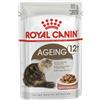 Royal Canin Cat Senior Ageing 12+ Gravy 85 gr