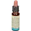TESLA Sas di Dr.Zucchi & ARMONIC 29 STAR OF BETH.70GR T