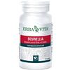 ERBA VITA GROUP SpA Boswellia Serrata 60cps 400mg