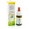 Guna Fiori di Bach White Chestnut per concentrazione e pace 10 ml