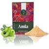 AATMANA Amla Polvere - 100 Grams