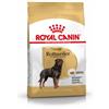 Royal Canin Breed Royal Canin Adult Rottweiler cibo per cane 12 kg