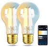 Aigostar Lampadine Smart Wifi E27 Alexa Lampadine Vintage, Confronta  prezzi