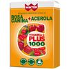 Winter vitamina c plus 1000 rosa canina +acerola 32 compresse