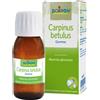 BOIRON Srl BO.CARPINUS BET.MG I 60ml