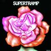 A&M Supertramp