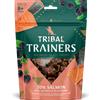 Tribal Trainers Salmone & More 80 g