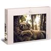 Ulmer Puzzleschmiede - Puzzle Il sognatore - Koala inizia comodamente la giornata - Piacevole puzzle da 1000 pezzi di animali australiani con l'orso coalaba che dorme