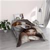 Italian Bed Linen Parure Copripiumino stampa digitale GOODNIGHT - Made in Italy 100% microfibra con trattamento Mano Pesca - Sacco Piumino letto Singolo 150x200 cm con patella + 1 federa - PEGGY