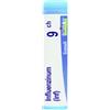 BOIRON Srl Influenzinum 9ch Gl 1do