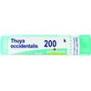 THUYA OCC 200K GR