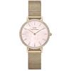 Daniel Wellington Petite Orologi 28mm Double Plated Stainless Steel (316L) Rose Gold