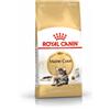 Royal Canin cat adult maine coon 400 g