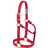Weaver Equine Weaver Leather Cavezza per cavallo in nylon non regolabile originale