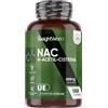 WeightWorld NAC N-Acetil-Cisteina Vegana, 600mg per Dose Giornaliera, 180 Capsule (Fornitura per 6 Mesi), 1 Sola Capsula al Giorno, N Acetilcisteina 600 mg, Integratore per Uomo e Donna, Senza Magnesio Stearato