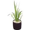 Velda Plant Basket 15 x 15 cm (50)
